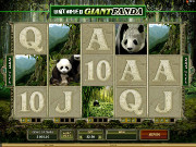 Untamed Giant Panda Slot